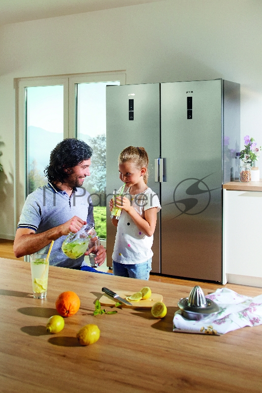 Холодильник Gorenje R6192LX нержавеющая сталь (однокамерный)