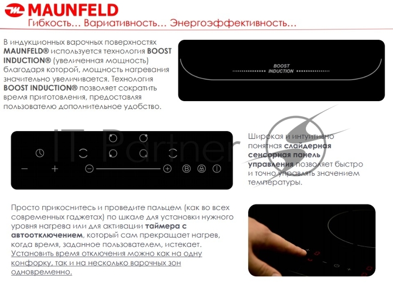 Электрическая индукционная панель MAUNFELD EVI.594.FL2(S)-BK