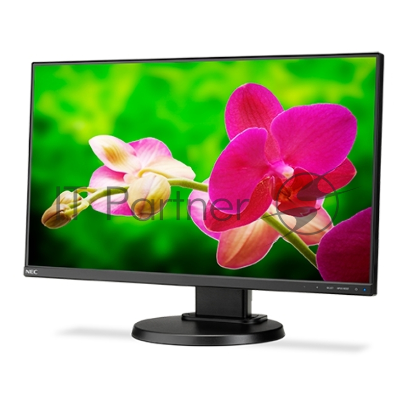 Монитор NEC 24 E241N-BK monitor,Black(IPS,250cd/m2,100 adj:110,Swiv,Tilt,PivotD-sub, HDMI, Displ.Port TCO6)