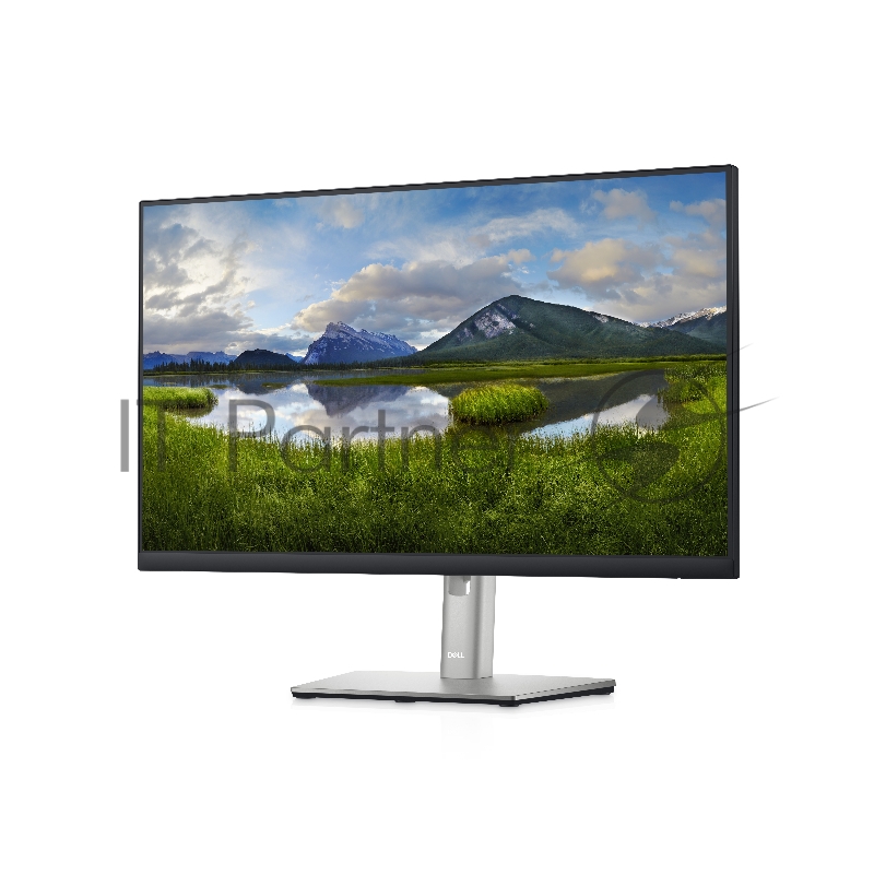 Монитор 23.8 Dell P2422H черный IPS LED 5ms 16:9 HDMI матовая HAS Pivot 1000:1 250cd 178гр/178гр 1920x1080 D-Sub DisplayPort FHD USB