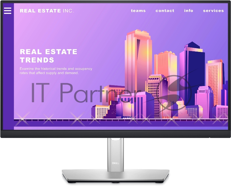 Монитор 23.8 Dell P2422H черный IPS LED 5ms 16:9 HDMI матовая HAS Pivot 1000:1 250cd 178гр/178гр 1920x1080 D-Sub DisplayPort FHD USB