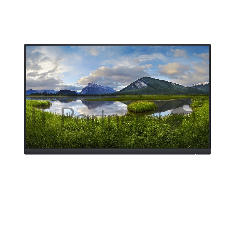 Монитор 23.8 Dell P2422H черный IPS LED 5ms 16:9 HDMI матовая HAS Pivot 1000:1 250cd 178гр/178гр 1920x1080 D-Sub DisplayPort FHD USB