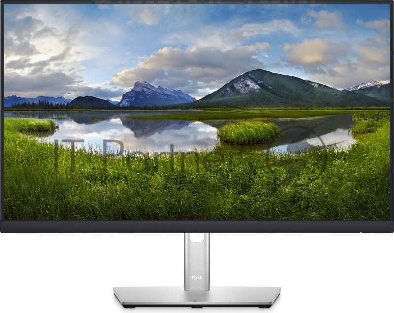 Монитор 23.8 Dell P2422H черный IPS LED 5ms 16:9 HDMI матовая HAS Pivot 1000:1 250cd 178гр/178гр 1920x1080 D-Sub DisplayPort FHD USB