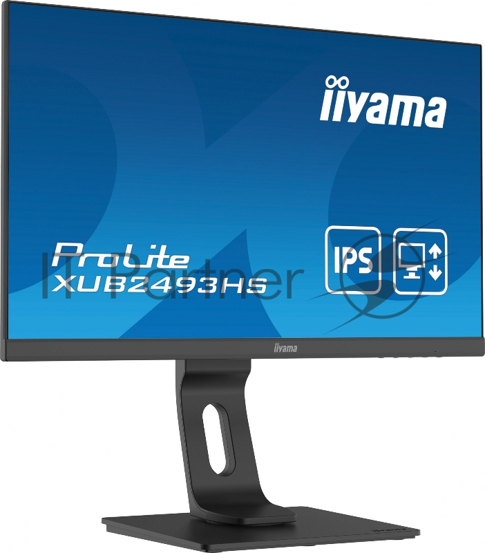Монитор Iiyama 23.8 ProLite XUB2493HS-B4 черный IPS LED 16:9 HDMI M/M матовая HAS Pivot 250cd 178гр/178гр 1920x1080 D-Sub DisplayPort FHD 4.8кг