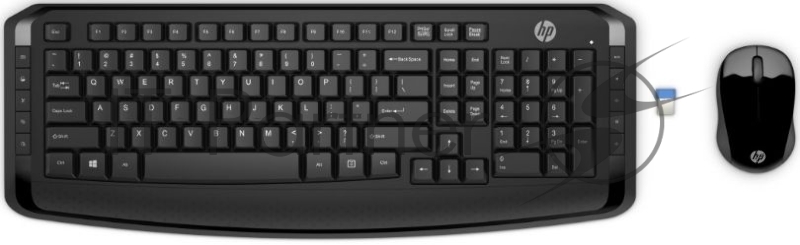 Клавиатура+мышь HP WL Keyboard and Mouse 300