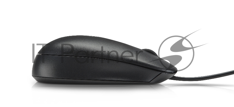 Мышь HP QY778AA черный оптическая (1000dpi) USB (2but)