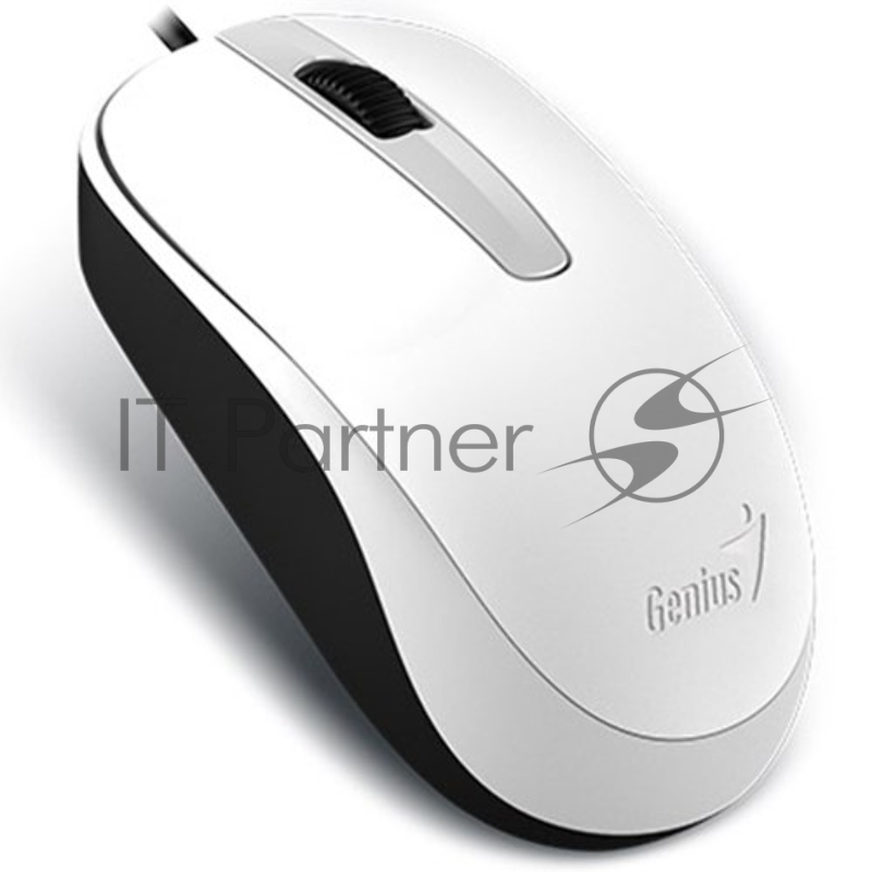 Мышь Genius Mouse DX-120 ( Cable, Optical, 1000 DPI, 3bts, USB ) White