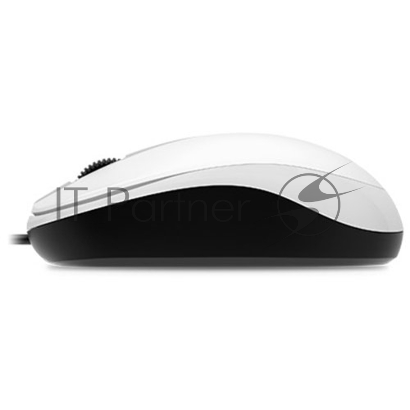 Мышь Genius Mouse DX-120 ( Cable, Optical, 1000 DPI, 3bts, USB ) White