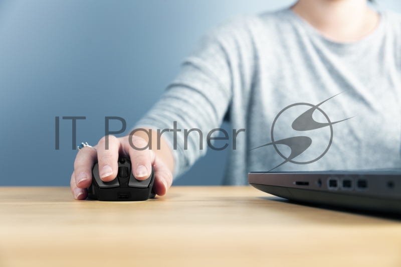 Мышь беспроводная Trust ZAYA WRL RCHRGABLE MOUSE BLK