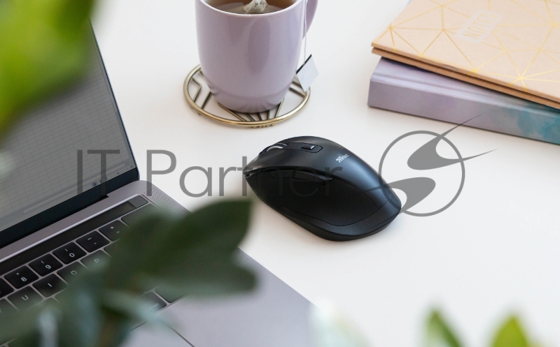 Мышь беспроводная Trust FYDA RCHRGABLE WRL MOUSE