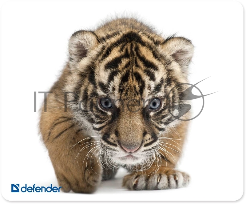 Коврик Defender шелковый ассортимент, 230х190х1.6