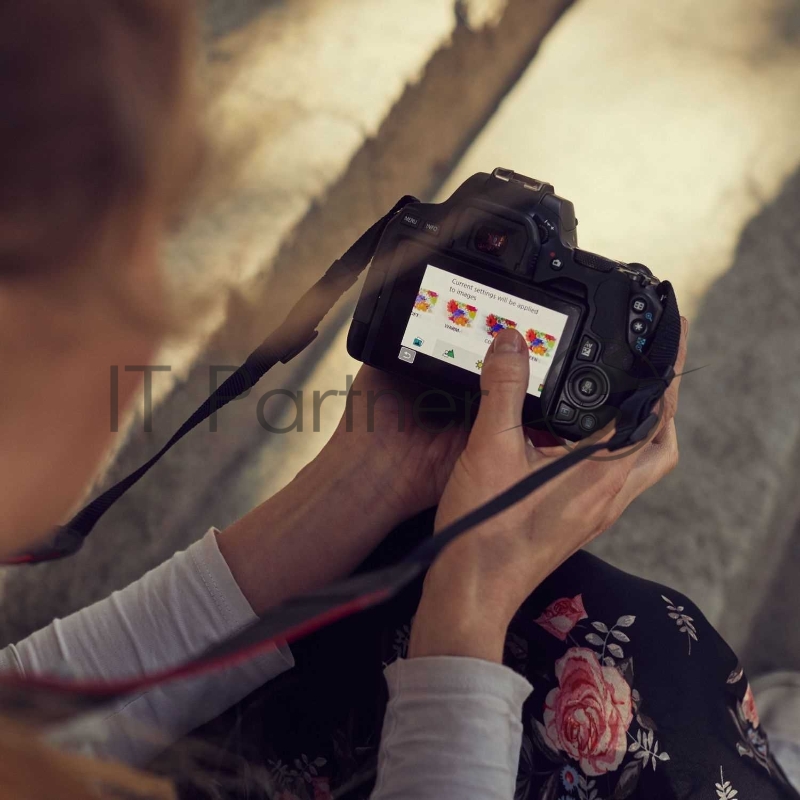 Зеркальный Фотоаппарат Canon EOS 250D белый 24.2Mpix EF-S 18-55mm f/1:4-5.6 IS STM 3 4K Full HD SDXC Li-ion