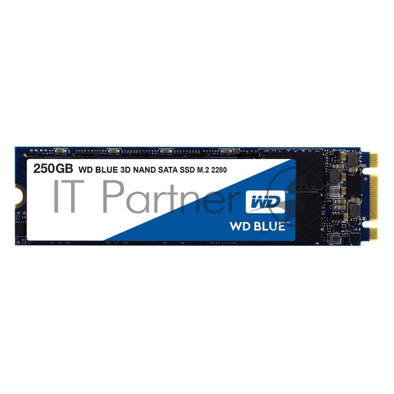 Накопитель SSD Western Digital M.2 250GB WD Blue (R525/W550Mb/s, TLC, SATA) (WDS250G2B0B)