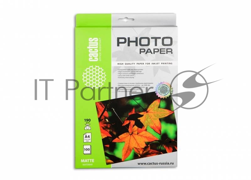 Фотобумага Cactus CS-MA4190100 A4/190г/м2/100л. матовая для струйной печати