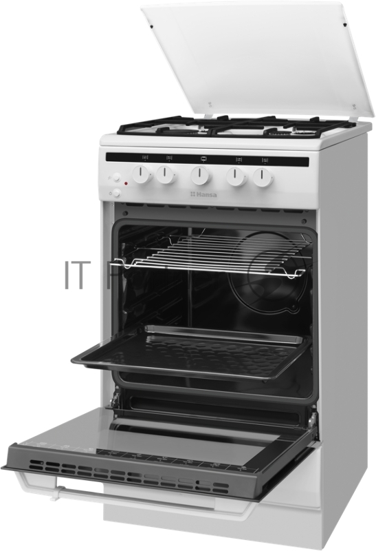 Газовая плита HANSA FCGW52021 белый