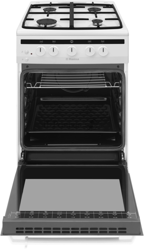 Газовая плита HANSA FCGW52021 белый