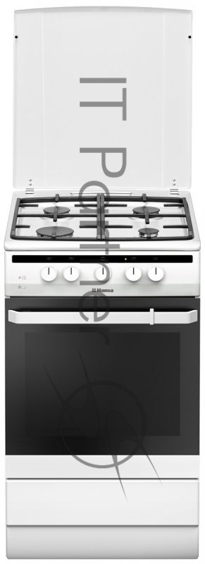 Газовая плита HANSA FCGW52021 белый