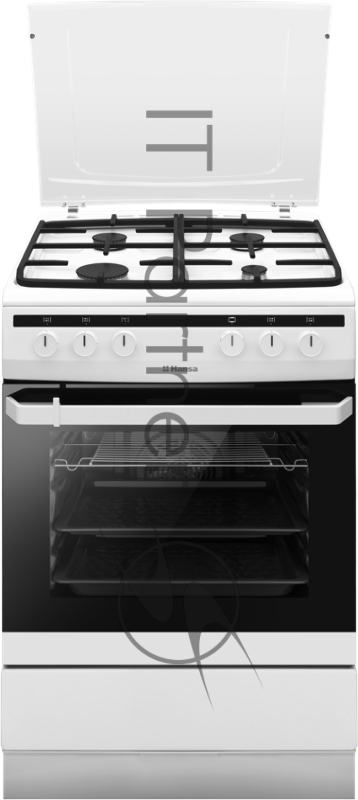 Плита комбинированная Hansa FCMW68020 белый