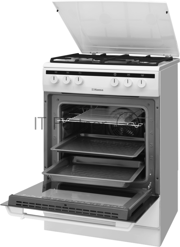 Плита комбинированная Hansa FCMW68020 белый