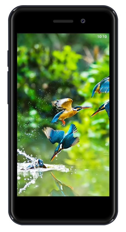 Смартфон Digma Linx A453 3G 8Gb 1Gb серый моноблок 3G 2Sim 4.5 480x854 Android 7.0 5Mpix WiFi BT GP