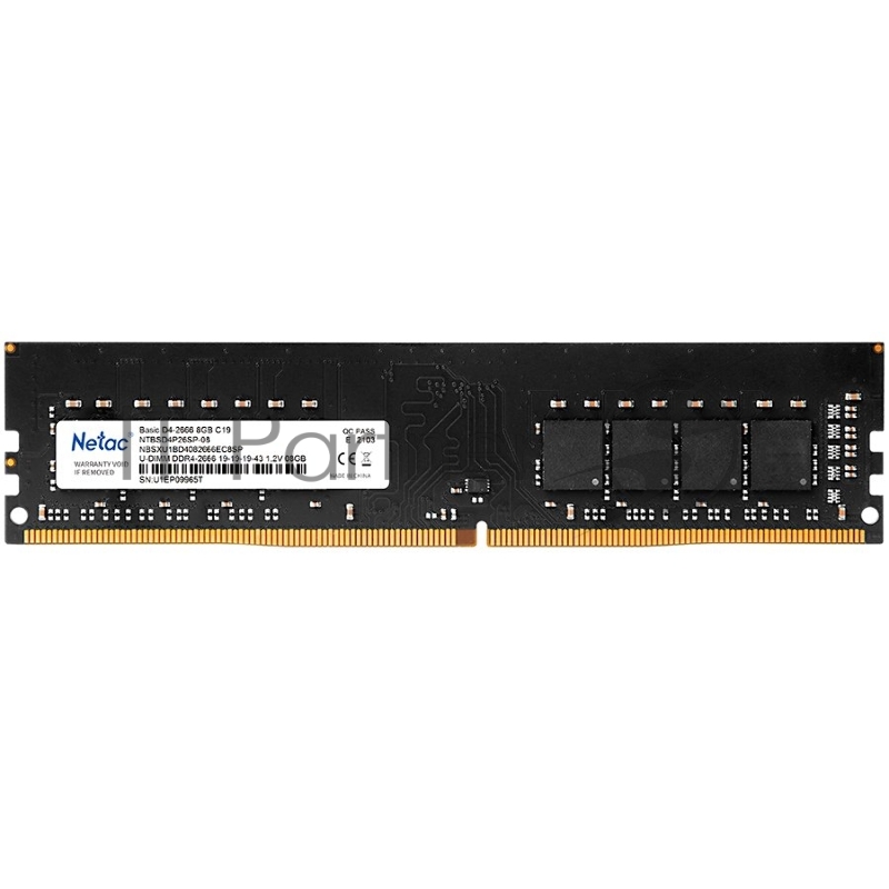 Модуль памяти DDR4 Netac Basic 8GB 2666MHz CL19 1.2V / NTBSD4P26SP-08