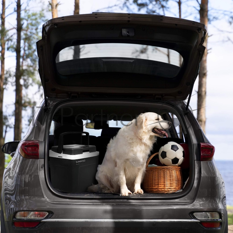 Автохолодильник SunWind EF-25220 25л 60Вт серый/белый