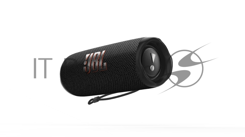 Акустическая система 1.0 BLUETOOTH FLIP 6 BLACK JBL