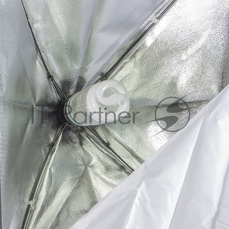 Комплект освещения Rekam CL-310-FL2-SB-FL1S