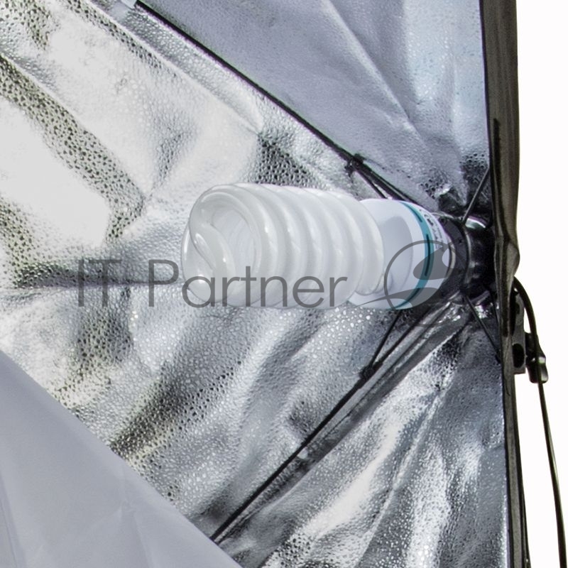 Комплект освещения Rekam CL-310-FL2-SB-FL1S