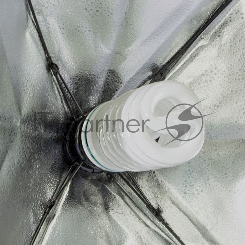 Комплект освещения Rekam CL-310-FL2-SB-FL1S