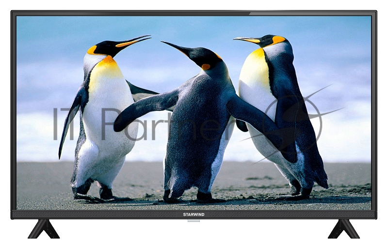 Телевизор LED Starwind 40 SW-LED40SB304 Яндекс.ТВ черный FULL HD 60Hz DVB-T DVB-T2 DVB-C DVB-S DVB-S2 USB WiFi Smart TV (RUS)