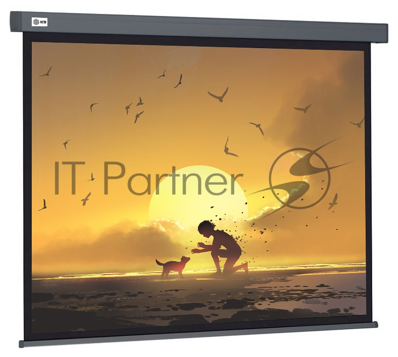 Экран Cactus 124.5x221см Wallscreen CS-PSW-124X221-SG 16:9 настенно-потолочный рулонный серый