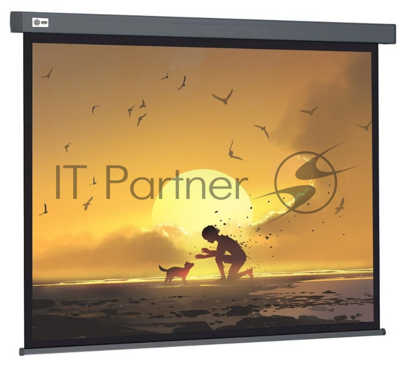 Экран Cactus 124.5x221см Wallscreen CS-PSW-124X221-SG 16:9 настенно-потолочный рулонный серый