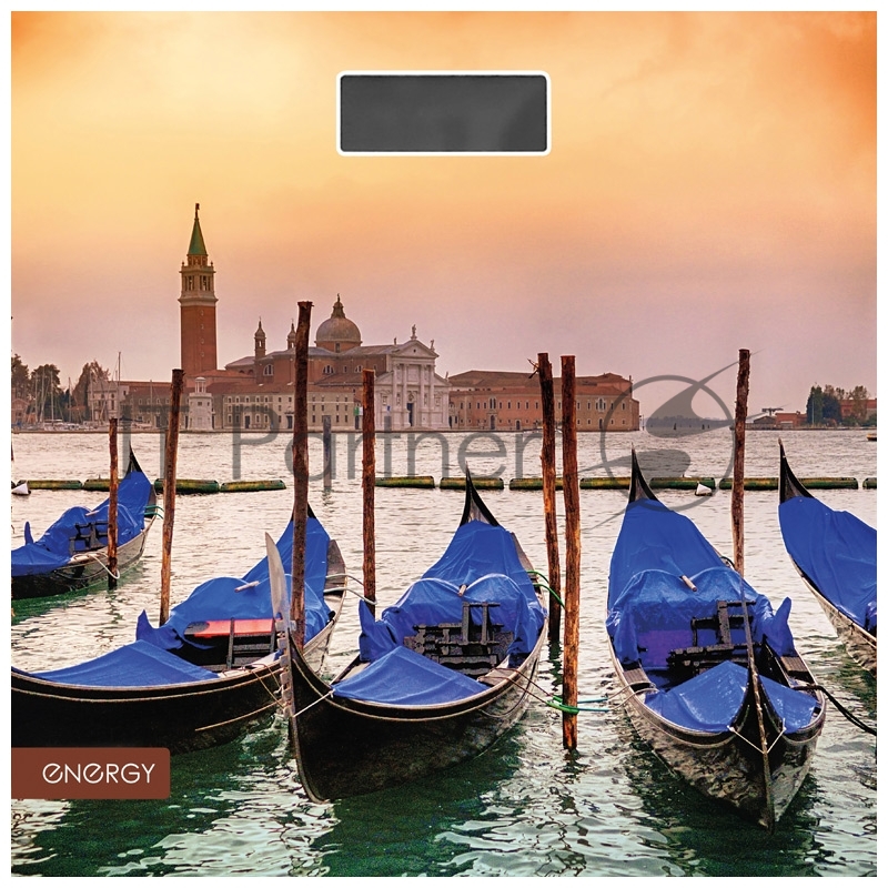 Весы напольные электронные ENERGY EN-419N