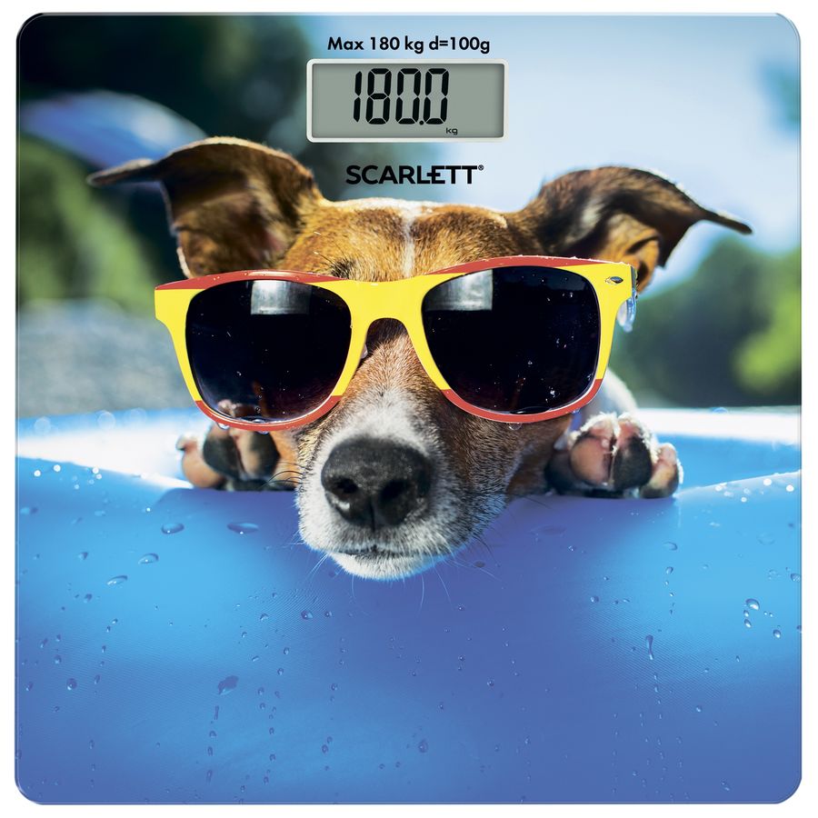 Весы напольные электронные Scarlett SC-BS33E091 голубой/рисунок