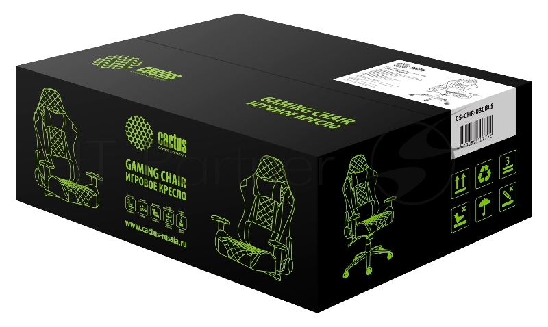 Кресло игровое Cactus CS-CHR-030BLS черный/серебристый сиденье черный/серебристый эко.кожа с подголов. крестовина металл пластик черный