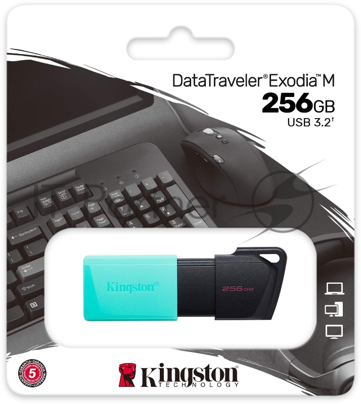 Флеш Диск Kingston 256Gb DataTraveler DTXM DTXM/256GB USB3.2 черный/красный