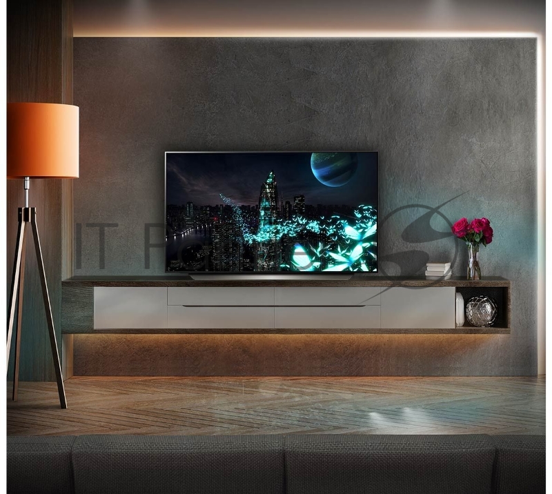 Телевизор LG OLED48C24LA