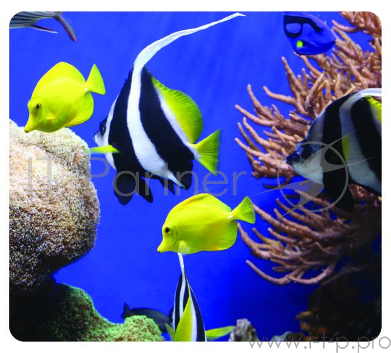 Коврик Fellowes® РЫБКИ, для любого типа мышей, Earth Series™, нескользящее основание, 208 х 203 х 2