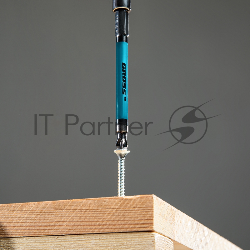 Набор бит PZ2 х90, сталь S2, 10шт.// Gross