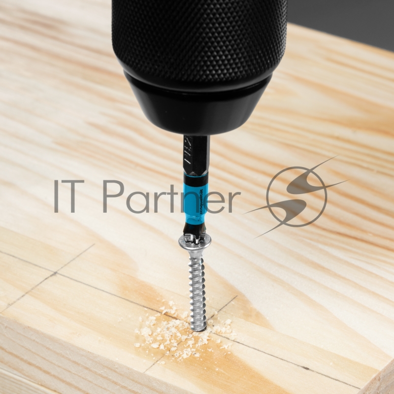 Набор бит PH2х50, сталь S2, 10 шт.// Gross