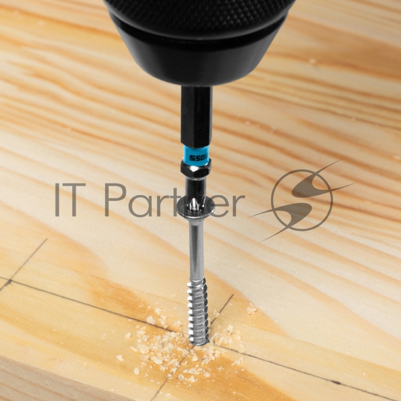 Набор бит TORX 20х50, сталь S2, 10 шт.// Gross