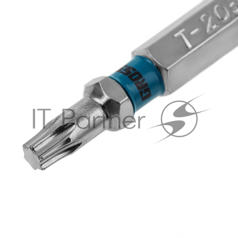 Набор бит TORX 20х50, сталь S2, 10 шт.// Gross