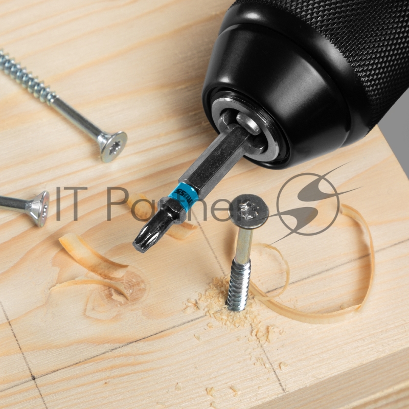 Набор бит TORX 25х50, сталь S2, 10 шт.// Gross