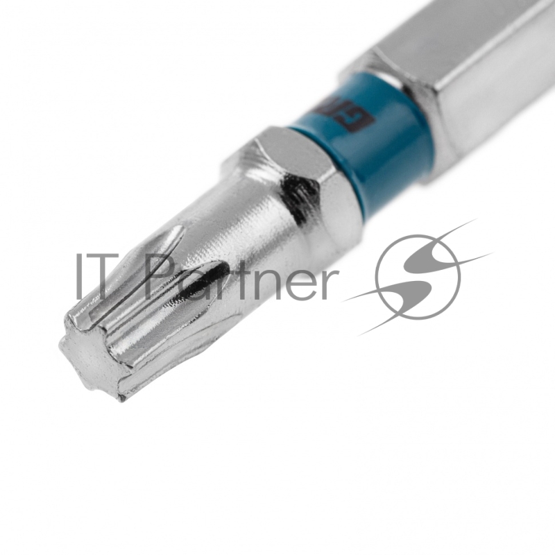 Набор бит TORX 25х50, сталь S2, 10 шт.// Gross