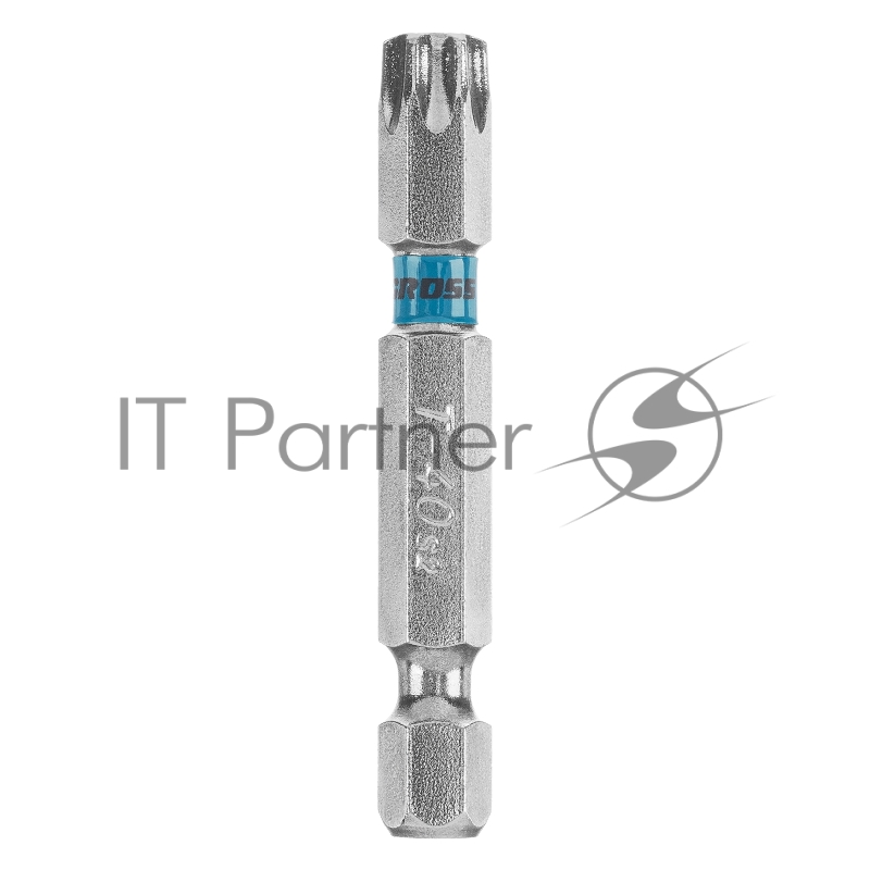 Набор бит TORX 40х50, сталь S2, 10 шт.// Gross