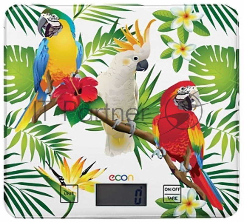 Весы кухонные электронные econ ECO-BS112K