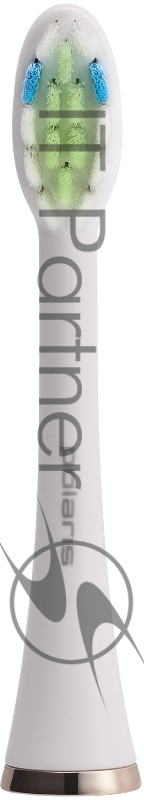 Насадка для зубных щеток Polaris PETB 0101 TC (упак.:2шт)