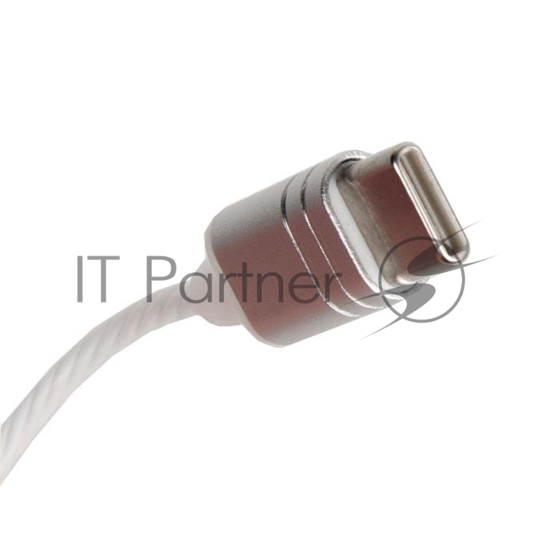 Наушники REMAX MONSTER RM-598a Metal Wired Earphone микрофон, подключение Type-C, серебристый