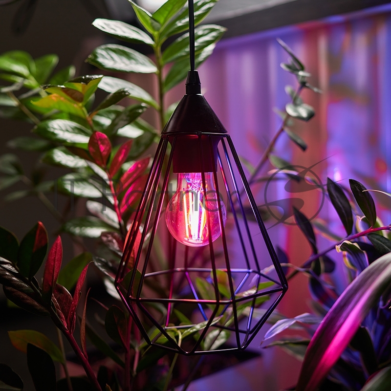 Фитолампа филаментная для растений REXANT Груша A60 11.5 Вт 1150 Лм 0.25% Blue 440-470Nm 0.75% Red 630-670NmK E27 прозрачная колба